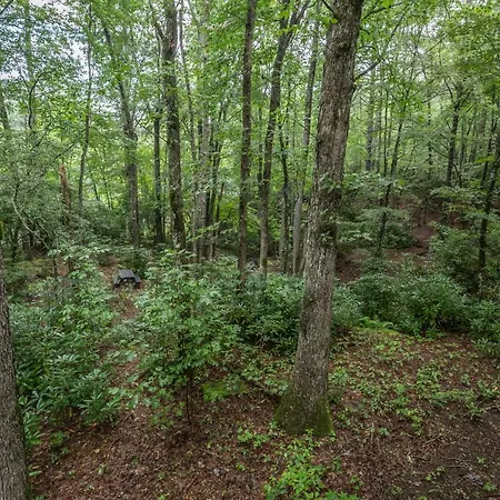 Springmaid Mountain Villa Spruce Pine Exterior foto