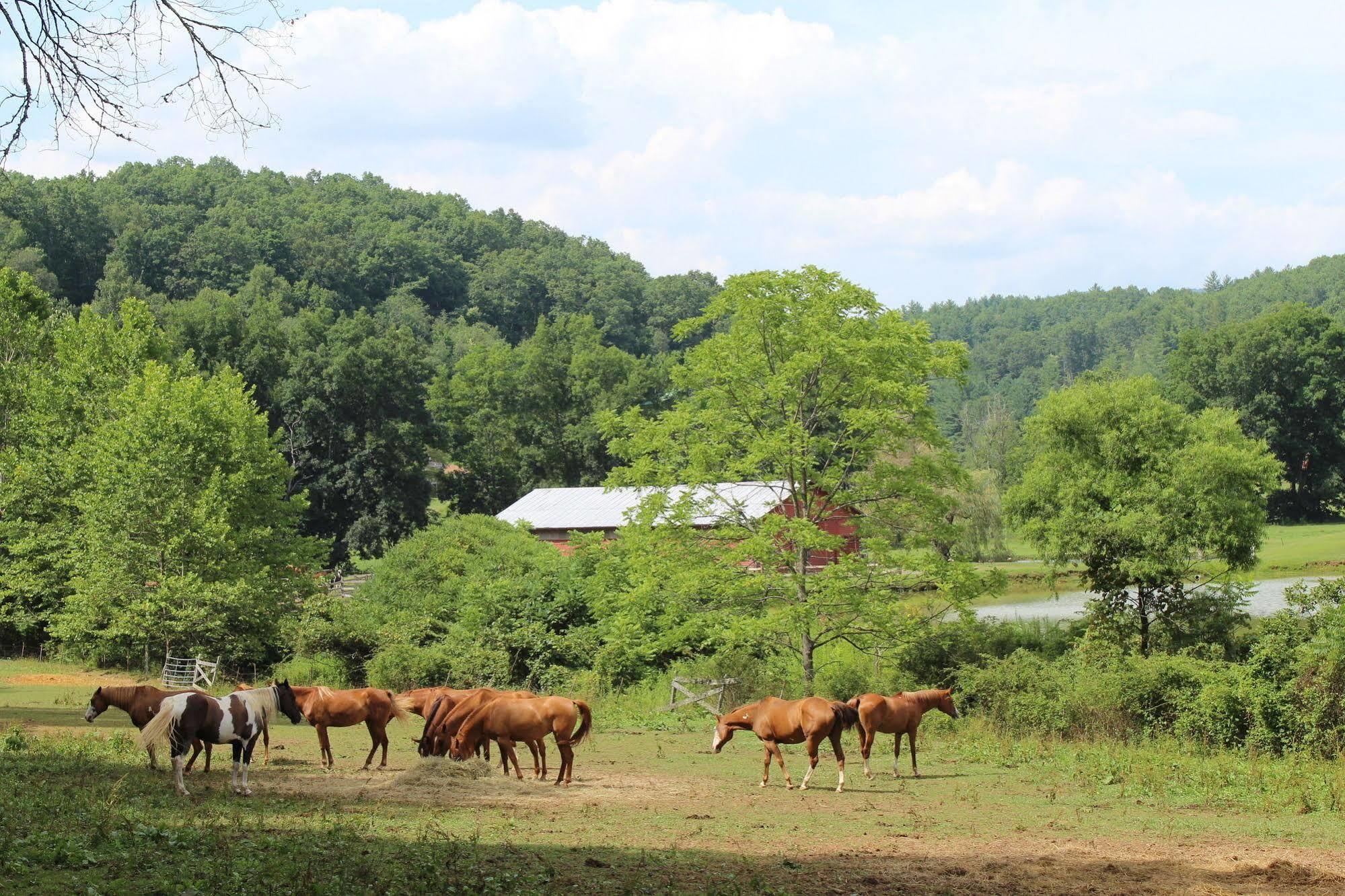 Springmaid Mountain Lodge